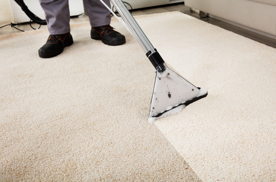 professionalcarpetcleaners